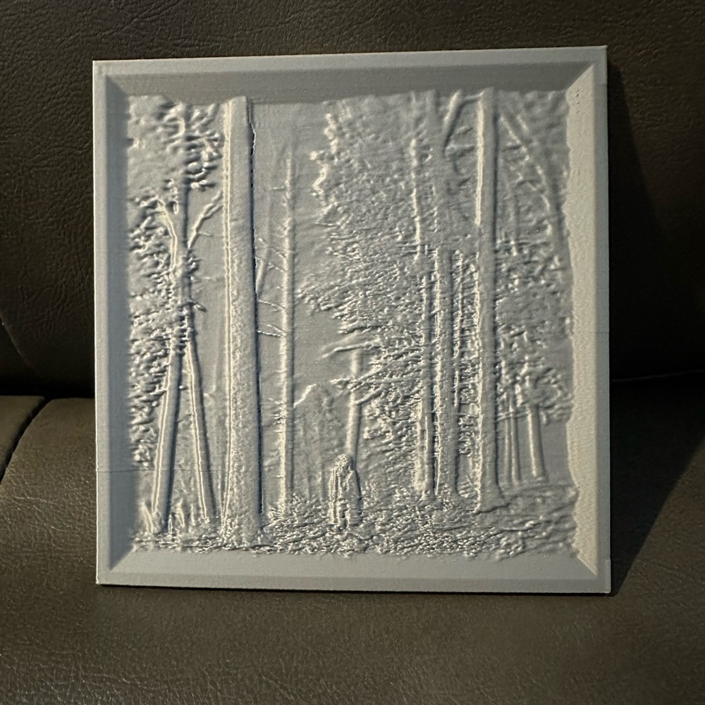 Taylor Swift folklore album cover 3D Printed Decor Silver PLA Filament
